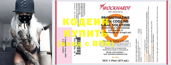 трава Белокуриха
