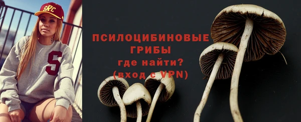 кокс Богородск