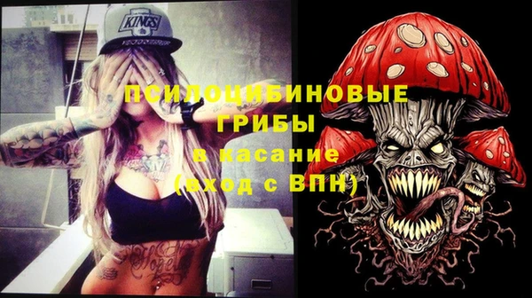 мескалин Богданович