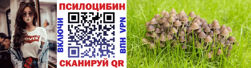 Галлюциногенные грибы Psilocybine cubensis Гаврилов-Ям