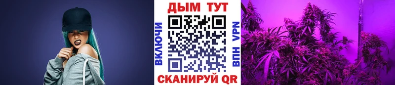 Бошки марихуана Ganja Гаврилов-Ям